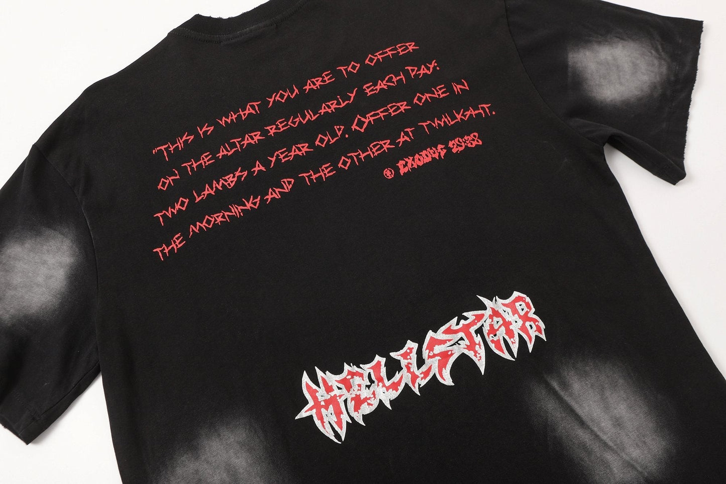 HS Lamb Halo Graphic T-Shirt ¡ª detail