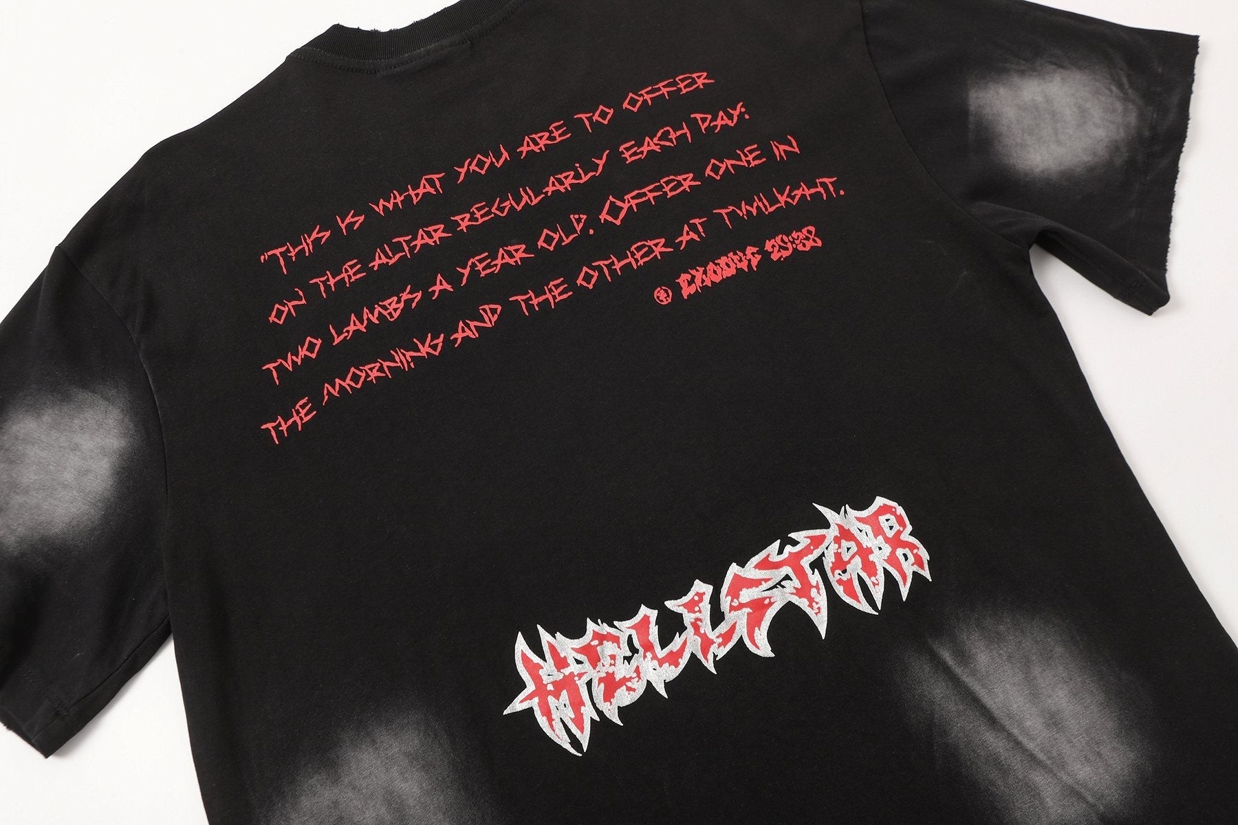 HS Lamb Halo Graphic T-Shirt ¡ª detail