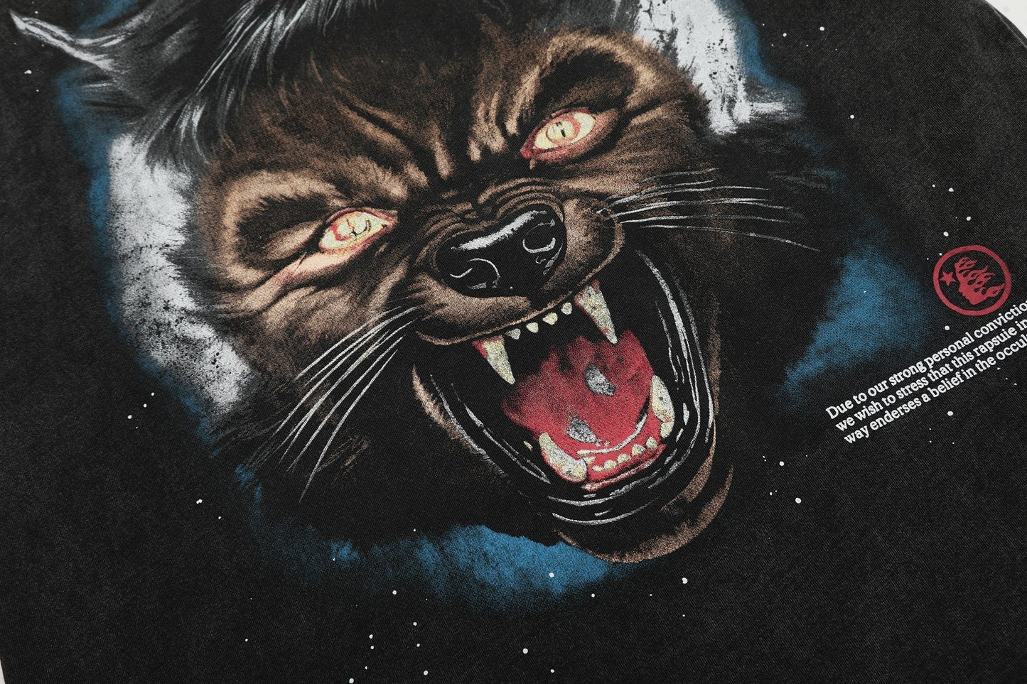 HS Moon Animal Graphic T-Shirt ¡ª detail