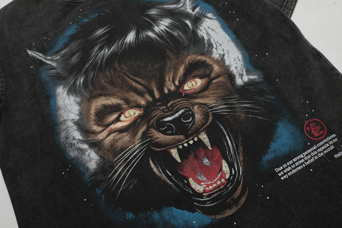 HS Moon Animal Graphic T-Shirt ¡ª detail
