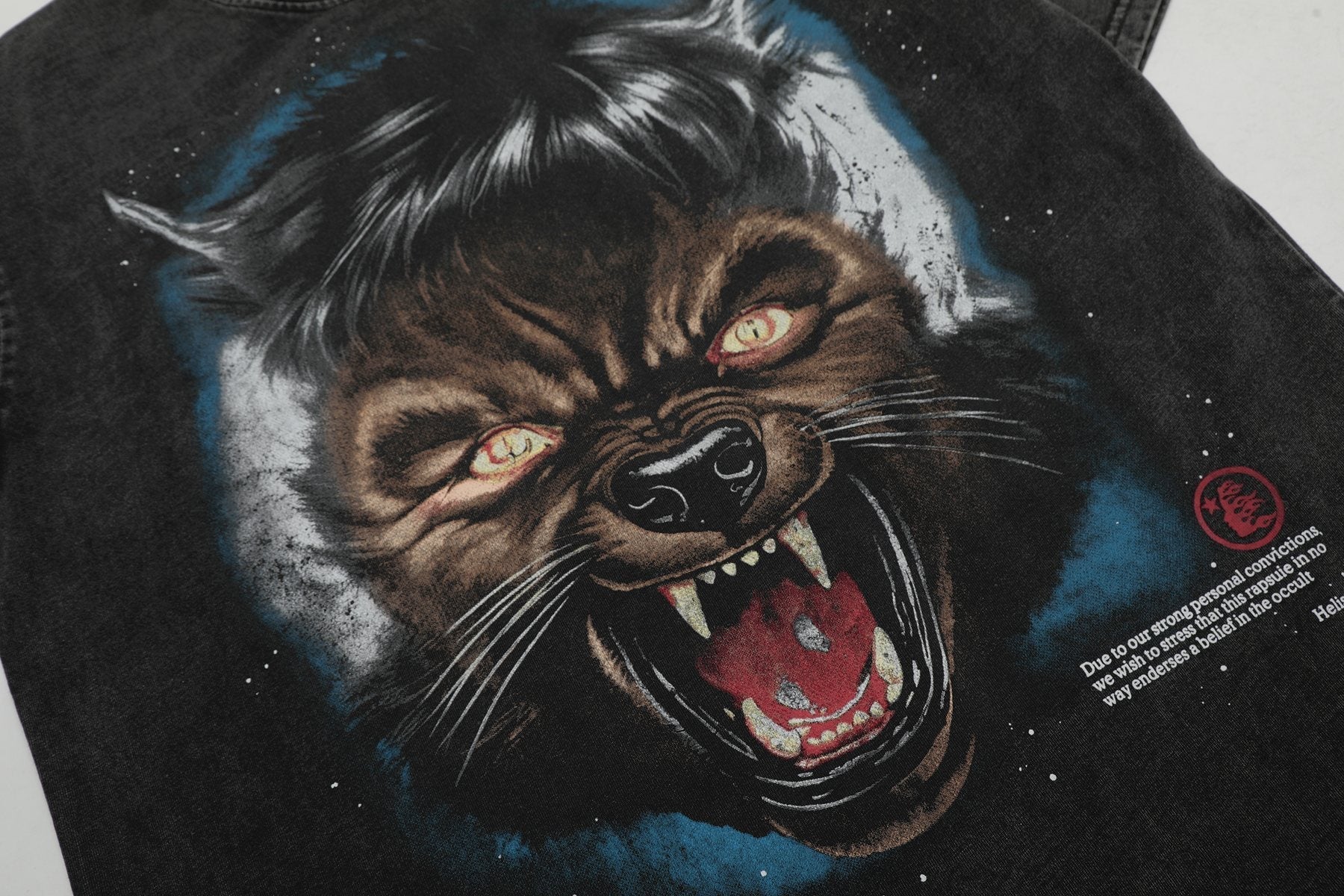 HS Moon Animal Graphic T-Shirt ¡ª detail