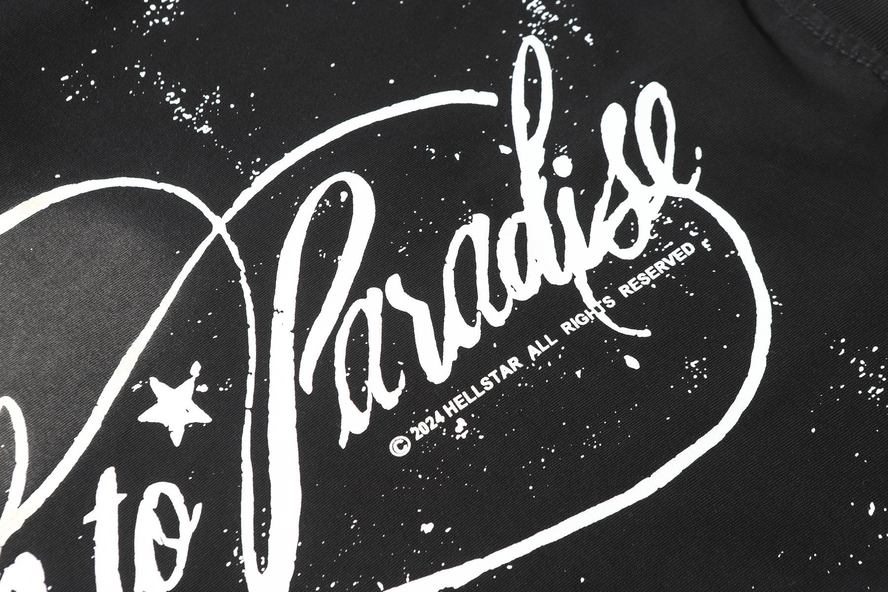 HS Path to Paradise Graphic T-Shirt ¡ª detail